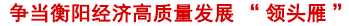 争当衡阳经济高质量发展领头雁